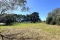 Property photo of 6 River Street Mount Morgan QLD 4714