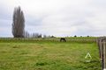 Property photo of 9 Willow Court Winnaleah TAS 7265