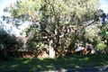 Property photo of 5 Mount Pleasant Avenue Mona Vale NSW 2103