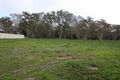 Property photo of 16 Federation Drive Naracoorte SA 5271
