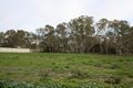 Property photo of 16 Federation Drive Naracoorte SA 5271
