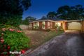 Property photo of 25 Helene Court Boronia VIC 3155
