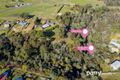 Property photo of 12 Florence Street Bridport TAS 7262