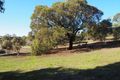 Property photo of 42-50 Richardson Road Boston SA 5607