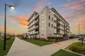 Property photo of 69/1 Limburg Way Greenway ACT 2900