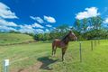Property photo of 191 Lone Hand Road Eumundi QLD 4562