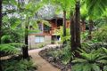 Property photo of 13 Colston Avenue Sherbrooke VIC 3789