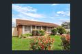 Property photo of 131 Tambaroora Crescent Marayong NSW 2148