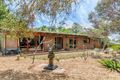 Property photo of 23 Gully Road Seacliff Park SA 5049