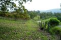 Property photo of 1107 Eel Creek Road Langshaw QLD 4570