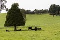 Property photo of 70 Webbs Lane Taggerty VIC 3714