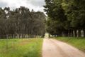 Property photo of 70 Webbs Lane Taggerty VIC 3714