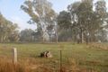 Property photo of 98 Donaldsons Road Ancona VIC 3715