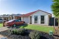 Property photo of 7 Cedar Street Munno Para West SA 5115