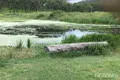 Property photo of 103 Mooney Road Gaeta QLD 4671