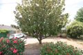 Property photo of 3 Dunrobin Street Lockleys SA 5032