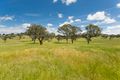 Property photo of 368 Wallaroo Road Wallaroo NSW 2618