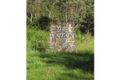 Property photo of 112 The Plateau Ormeau Hills QLD 4208