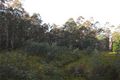 Property photo of 29 Funslow Road Collinsvale TAS 7012