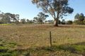 Property photo of 20 Cannawigara Road Bordertown SA 5268