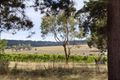 Property photo of 13 Warrawee Road Balnarring VIC 3926