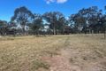 Property photo of 6 Honeyeater Close Denman NSW 2328