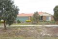 Property photo of 43 Rolling Meadows Drive Sunbury VIC 3429