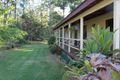 Property photo of 49 Brushbox Crescent Yarravel NSW 2440