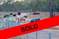Property photo of 128 Dendles Road Milman QLD 4702