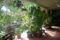 Property photo of 47 Periwinkle Avenue Trinity Beach QLD 4879