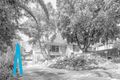 Property photo of 11 Carolan Crescent Valley View SA 5093