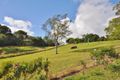 Property photo of 179 Helliwells Road Missabotti NSW 2449