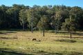 Property photo of 1850 Upper Mongogarie Road Upper Mongogarie NSW 2470