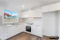 Property photo of 7 Wiltshire Street Miller NSW 2168