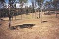 Property photo of 2 Beattie Lane Burrell Creek NSW 2429