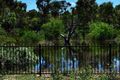 Property photo of 62 Mardon Drive Horsham VIC 3400