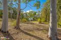 Property photo of 249 Arborsixteen Road Glenwood QLD 4570