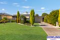 Property photo of 24 Delprat Avenue Beresfield NSW 2322