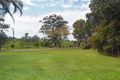 Property photo of 3 Ronella Drive Yarravel NSW 2440