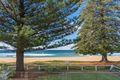 Property photo of 137 Avoca Drive Avoca Beach NSW 2251