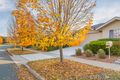 Property photo of 4 Loma Rudduck Street Forde ACT 2914