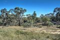 Property photo of 83 Thompsons Lane Mummel NSW 2580