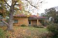 Property photo of 4 Buna Terrace Nuriootpa SA 5355