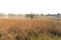 Property photo of 280 Newington Road Wamboin NSW 2620