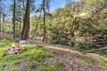 Property photo of 1885 Araluen Road Deua River Valley NSW 2537