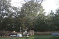 Property photo of 57 Ormond Road Clayton VIC 3168