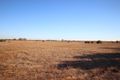 Property photo of LOT 97 Sturt Highway Blanchetown SA 5357