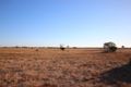 Property photo of LOT 97 Sturt Highway Blanchetown SA 5357