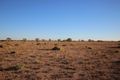 Property photo of LOT 97 Sturt Highway Blanchetown SA 5357