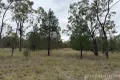 Property photo of 61 Wilga Drive Ducklo QLD 4405